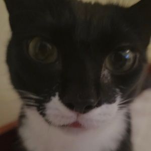 Meet your Posher, Kieran